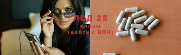 крисы Алексин