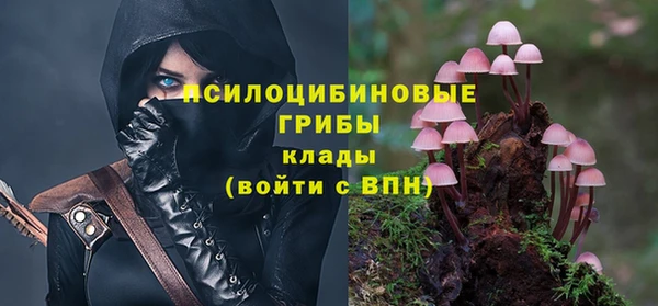 шишки Алексеевка