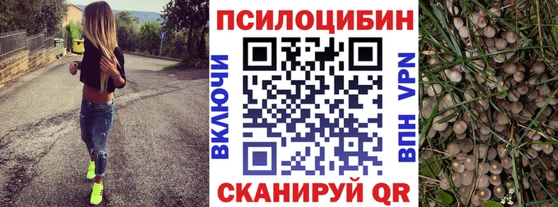 MEGA ТОР  наркошоп  Артём  Галлюциногенные грибы Psilocybine cubensis 